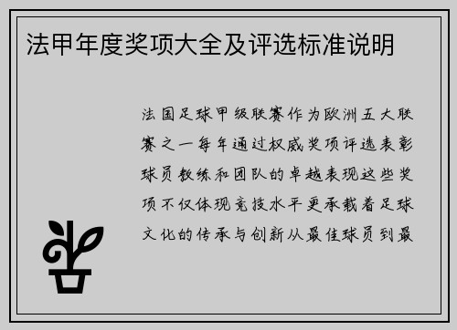 法甲年度奖项大全及评选标准说明